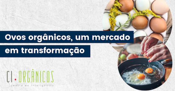 Ovos orgânicos um mercado em transformação.