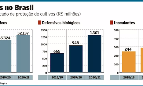 Práticas agroecológicas para o manejo de doenças de plantas