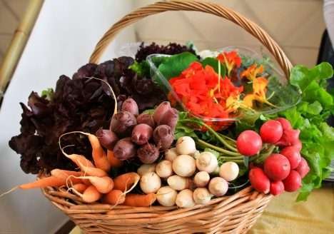 Santa Catarina já é um reduto da alimentação saudável no Brasil