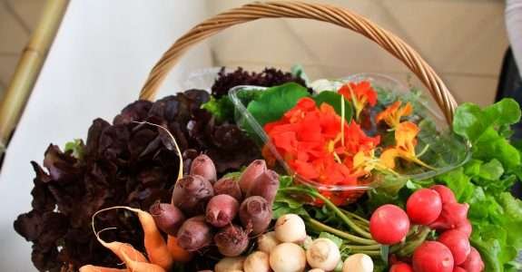 Santa Catarina já é um reduto da alimentação saudável no Brasil