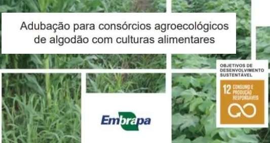 Alimentos Orgânicos e Agroecológicos Processados: Fundamentos e Requisitos Legais no Brasil