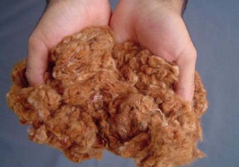 Coletivo Feminino apresenta resultados com algodão orgânico em assentamento na Paraíba