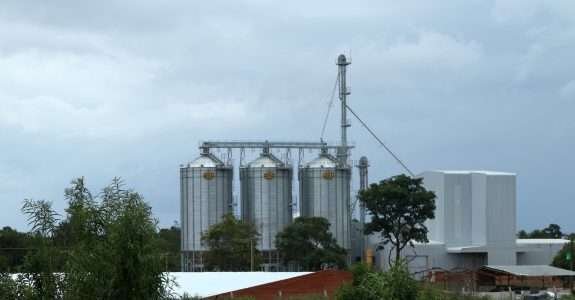 Ex-traders de Dreyfus e NovaAgri fomentam orgânicos do Brasil e veem salto em poucas safras