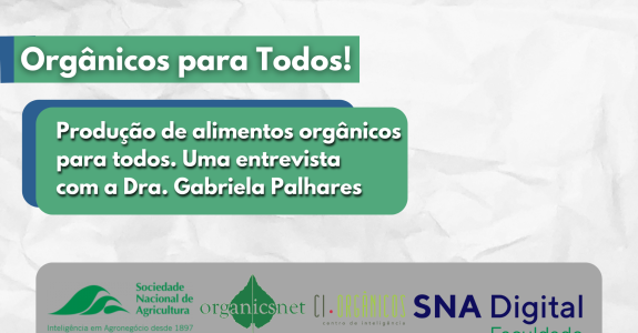 Entenda a importância dos alimentos orgânicos para todos
