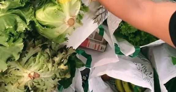 Startup registra aumento de 120% na venda de alimentos orgânicos