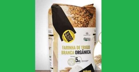Mercado para farinha de trigo orgânica cresce no Brasil