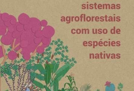 Sistemas agroflorestais com uso de espécies nativa