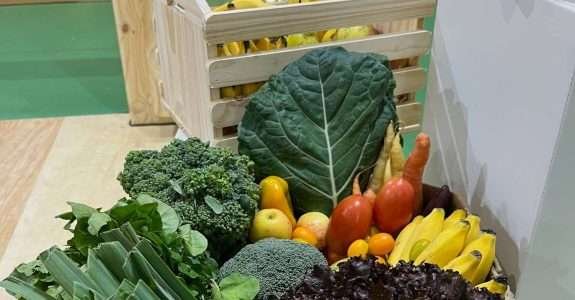 Raízs conecta produtores de orgânicos ao consumidor final com inteligência artificial