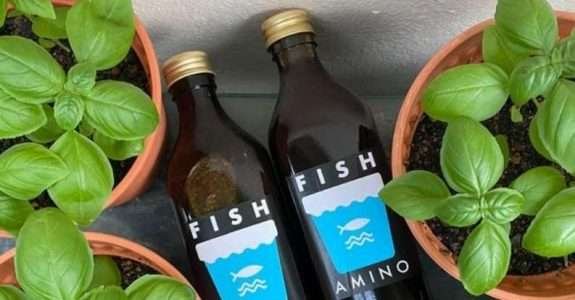 Fertilizante Orgânico Concentrado