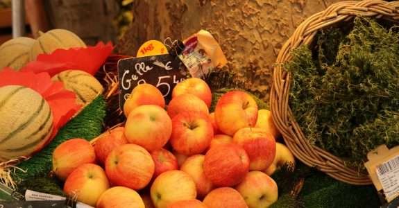 O dilema da produção de orgânicos no Brasil