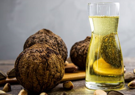 Concepta Ingredients apresenta linha de óleos de coco 100% nacional