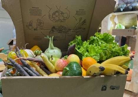 Tecnologia permite retirar do solo apenas os alimentos que serão consumidos