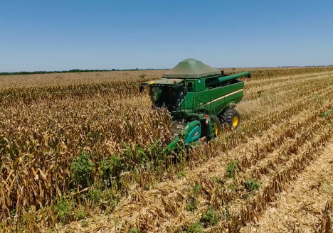 Gestão empresarial com padrões ESG promove diferenciação no mercado