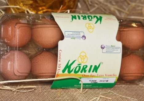 Korin planeja construção de uma nova fábrica