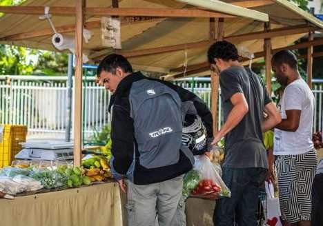 Apesar do crescimento, setor orgânico ainda enfrenta desafios