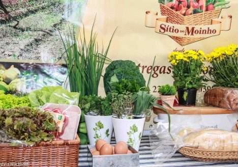 Música clássica passa a regar a horta do Sítio do Moinho