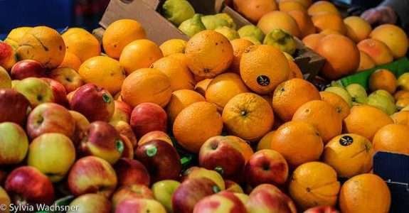 Setor de orgânicos criará este ano primeira associação nacional