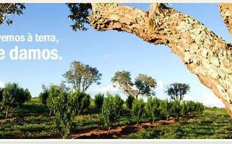 Desvendando a Fazenda Takaoca