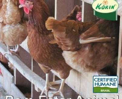 A partir do bem-estar animal, a Korin continua a crescer