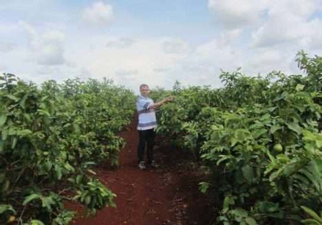 Agricultores gaúchos apresentam em Cuba benefícios de agroecologia