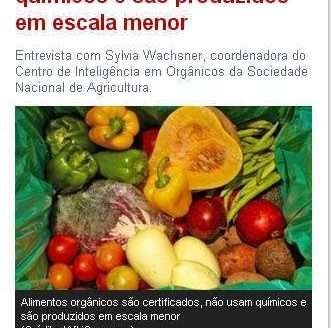 "Sugiro aos consumidores ir às feiras", diz Sylvia Wachsner