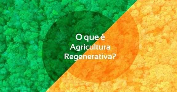 Amaggi e reNature lançam programa para promover agricultura regenerativa no Brasil