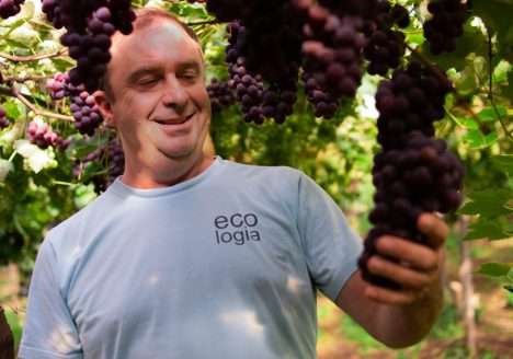 Coopernatural aposta na diversidade de produtos orgânicos