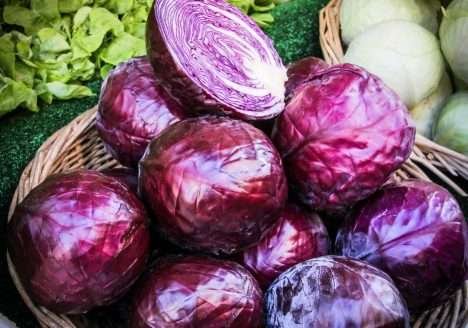 ES: produtores em fase de certificação já podem comercializar orgânicos