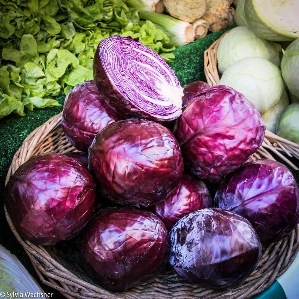 Foto: Sylvia Wachsner