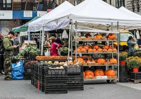 Orgânicos saem da marginalidade
