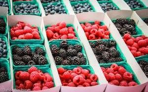 12153268286_66d152ef5a_z