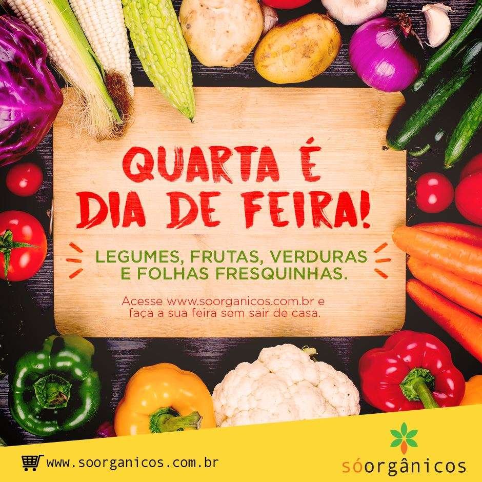 foto: divulga&ccedil;&atilde;o empresa