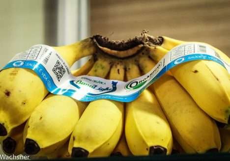 São Paulo terá banco de dados sobre produtos orgânicos e agricultura familiar