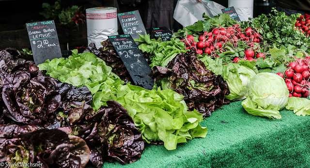 Foto: Sylvia Wachsner