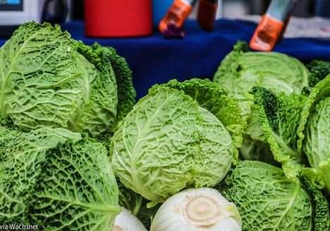 A tecnologia como aliada do comércio orgânico