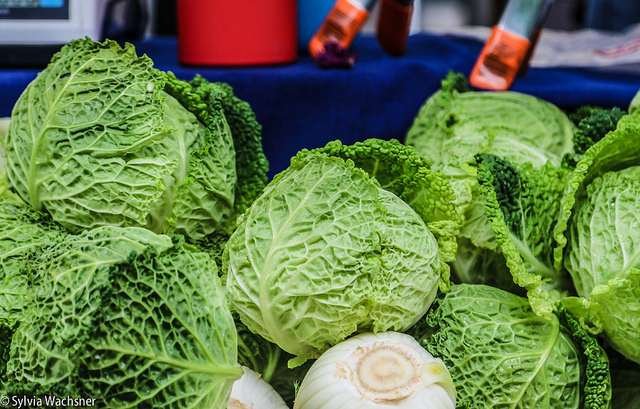 Foto: Sylvia Wachsner