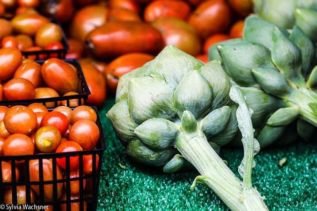 Foto: Sylvia Wachsner