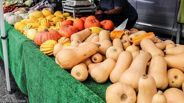 Foto: Sylvia Wachsner (CI Org&acirc;nicos/OrganicsNet)