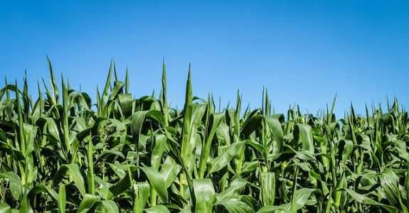 Portaria 52 de março de 2021.