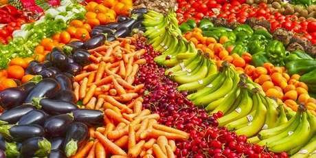 Banco de imagens / DINO