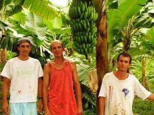 Agricultura agroecol&oacute;gica Iatperura Rio de Janeiro