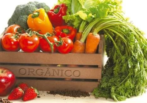 Governo federal discute alimentação saudável e combate à obesidade