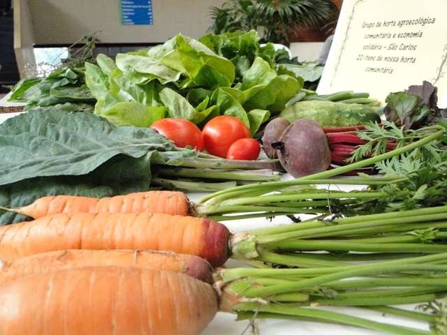 Centro de Ciencias Agrarias da UFSCar