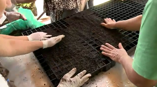 Curso capacita agricultores na realiza&ccedil;&atilde;o de agricultura org&acirc;nica