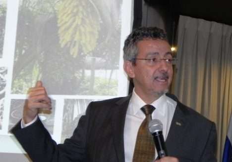 Brasil, da dependência a um dos maiores provedores de alimentos do mundo