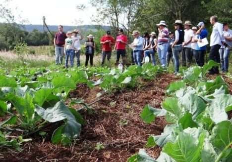 Produtores do Noroeste gaúcho recebem certificação orgânica de seus produtos