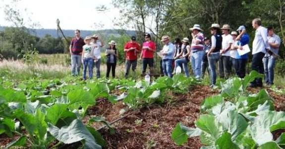 Produtores do Noroeste gaúcho recebem certificação orgânica de seus produtos