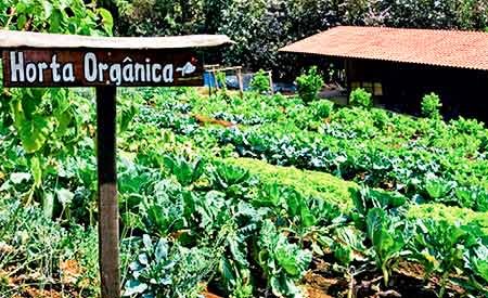 Foto: Site Ecodesenvolvimento