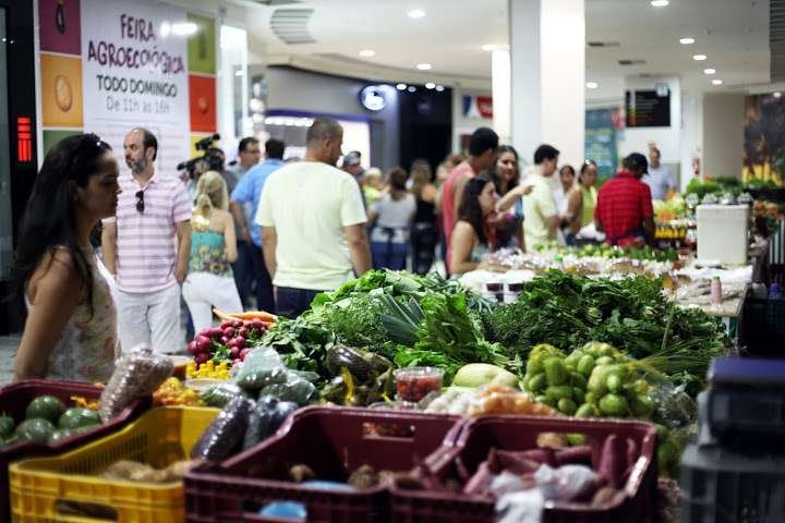 Feira Agroecol&oacute;gica_Feira MontSerrat (35)