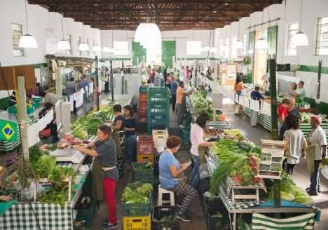 Fiscalizações de orgânicos em SP encontram 90% de amostras regulares